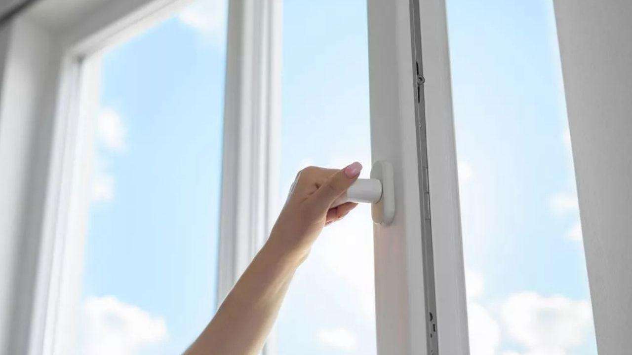 The-Council-of-Mosques